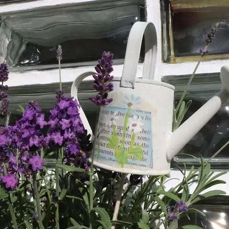 Steinbach Casa vacanze *